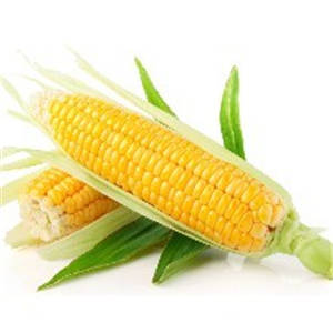 如何挑选玉米 揭日常食用玉米的养生小贴士