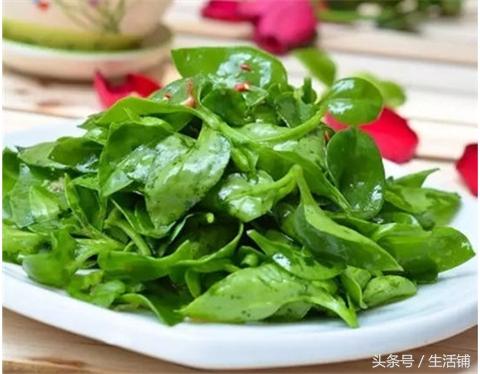 10种能吃的多肉植物，要不要来一份？