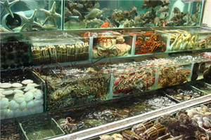 香港人气最旺的海鲜餐厅 不得不尝海鲜大餐！
