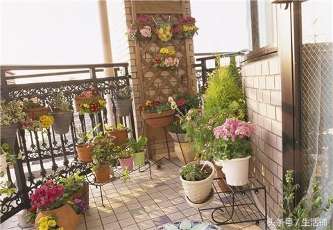阳台养对了花，花香四溢，比露天花园还美！