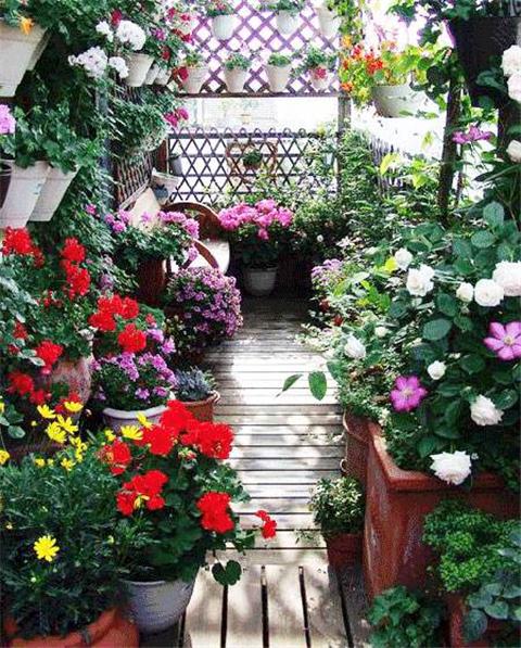 阳台简单一改造，变成邻居羡慕的小花园！