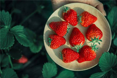 草莓怎么给宝宝吃 吃前须知这六点