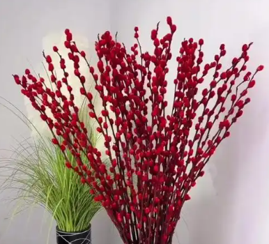 银柳的花语和寓意