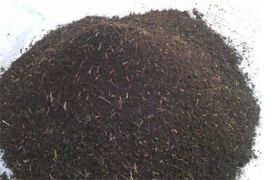 紫罗兰用什么土养 富含腐殖质的微酸性土壤