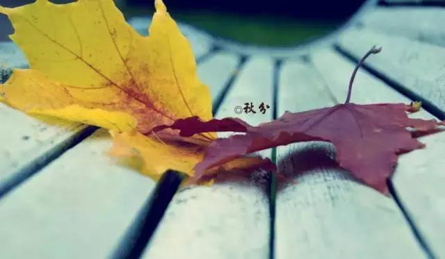 秋分养生注意事项 老年人可适时加些厚衣服