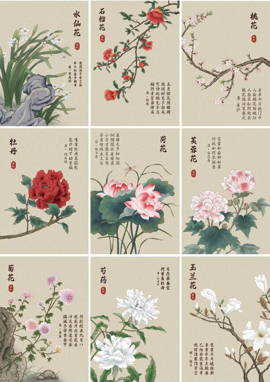 中国古代十二月花神是哪种花