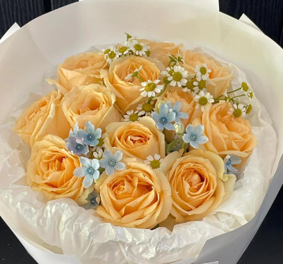 香槟玫瑰花语是什么意思